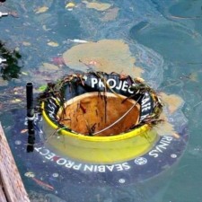 Zbiralec plavajočih odpadkov SEABIN